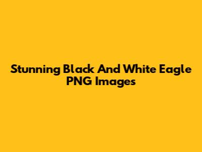Stunning Black And White Eagle PNG Images