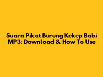 Suara Pikat Burung Kekep Babi MP3: Download & How To Use