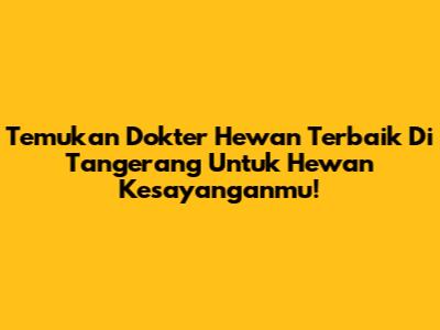 Temukan Dokter Hewan Terbaik Di Tangerang Untuk Hewan Kesayanganmu!