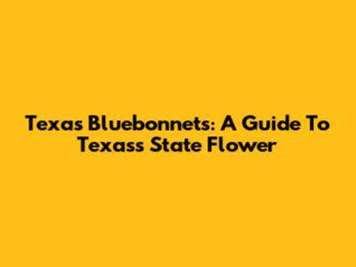 Texas Bluebonnets: A Guide To Texas's State Flower