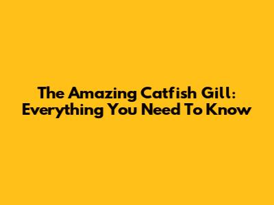 The Amazing Catfish Gill: Everything You Need To Know