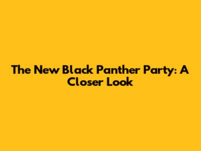 The New Black Panther Party: A Closer Look