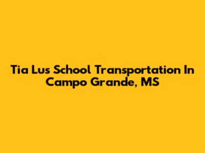 Tia Lu's School Transportation In Campo Grande, MS