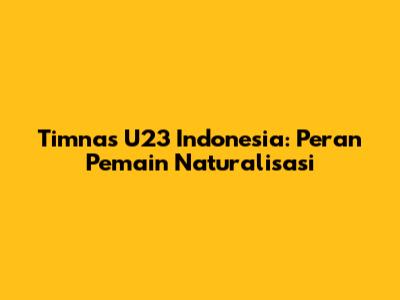 Timnas U23 Indonesia: Peran Pemain Naturalisasi