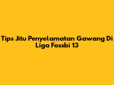 Tips Jitu Penyelamatan Gawang Di Liga Fossbi 13