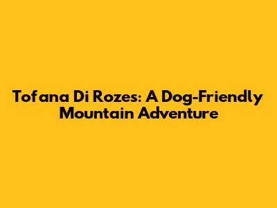 Tofana Di Rozes: A Dog-Friendly Mountain Adventure