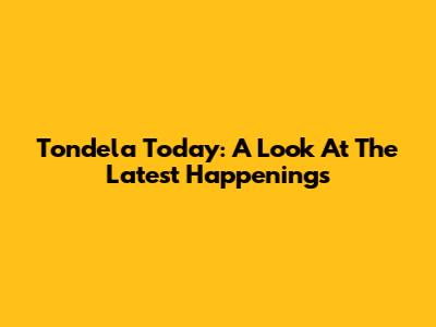 Tondela Today: A Look At The Latest Happenings