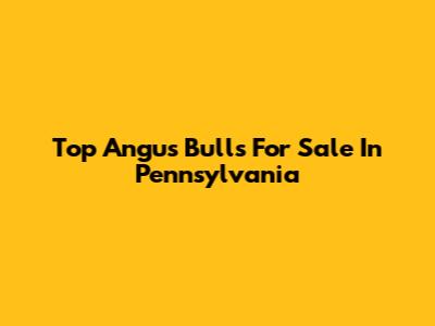 Top Angus Bulls For Sale In Pennsylvania