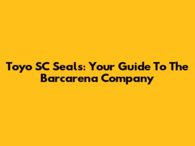 Toyo SC Seals: Your Guide To The Barcarena Company