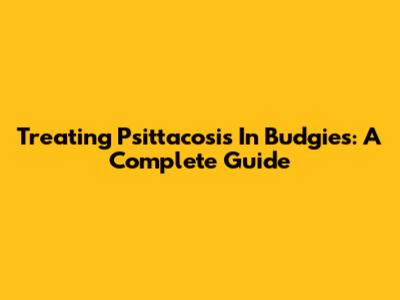 Treating Psittacosis In Budgies: A Complete Guide