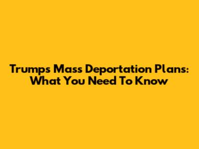 Trump's Mass Deportation Plans: What You Need To Know