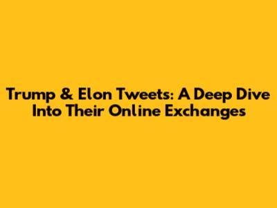 Trump & Elon Tweets: A Deep Dive Into Their Online Exchanges