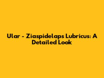Ular - Ziaspidelaps Lubricus: A Detailed Look