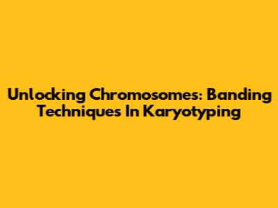 Unlocking Chromosomes: Banding Techniques In Karyotyping