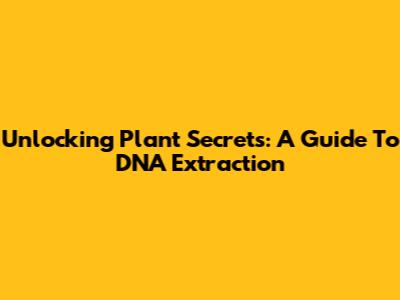 Unlocking Plant Secrets: A Guide To DNA Extraction
