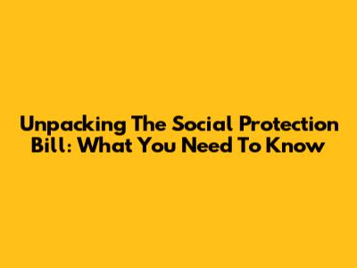 Unpacking The Social Protection Bill: What You Need To Know