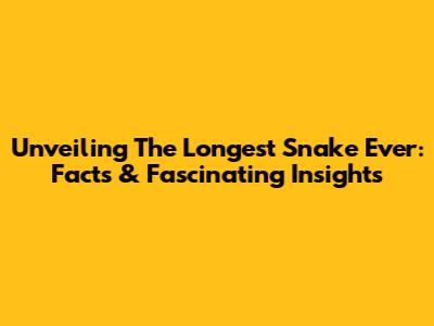 Unveiling The Longest Snake Ever: Facts & Fascinating Insights