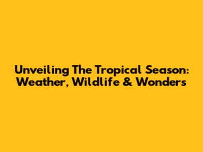 Unveiling The Tropical Season: Weather, Wildlife & Wonders