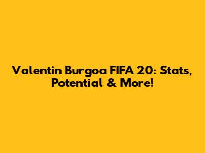Valentin Burgoa FIFA 20: Stats, Potential & More!