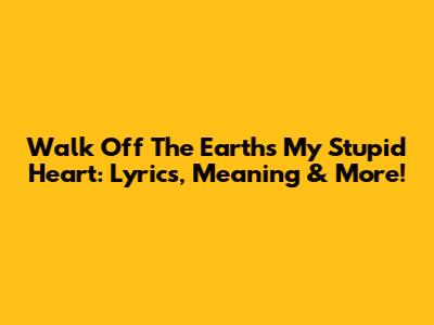 Walk Off The Earth's 'My Stupid Heart': Lyrics, Meaning & More!