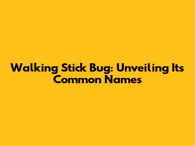 Walking Stick Bug: Unveiling Its Common Names