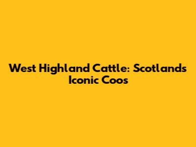West Highland Cattle: Scotland's Iconic Coos