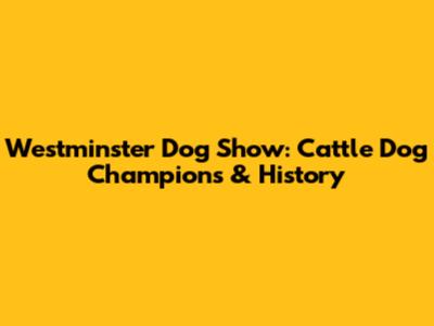 Westminster Dog Show: Cattle Dog Champions & History