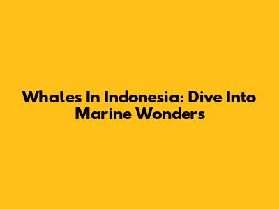 Whales In Indonesia: Dive Into Marine Wonders