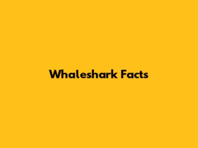 Whaleshark Facts