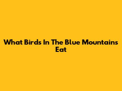 What Birds In The Blue Mountains Eat