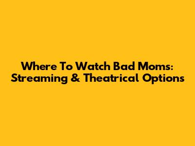 Where To Watch Bad Moms: Streaming & Theatrical Options