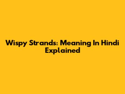 Wispy Strands: Meaning In Hindi Explained