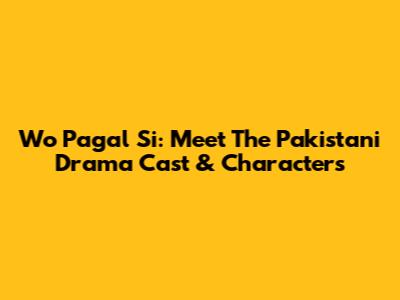 Wo Pagal Si: Meet The Pakistani Drama Cast & Characters