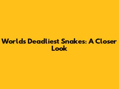 World's Deadliest Snakes: A Closer Look