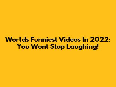 World's Funniest Videos In 2022: You Won't Stop Laughing!