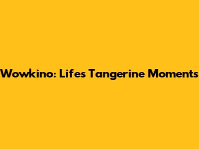 Wowkino: Life's Tangerine Moments