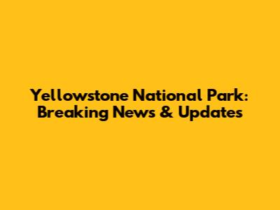 Yellowstone National Park: Breaking News & Updates