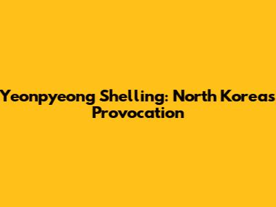 Yeonpyeong Shelling: North Korea's Provocation