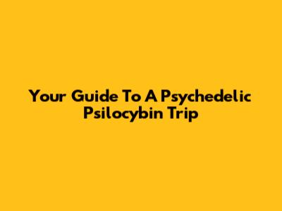 Your Guide To A Psychedelic Psilocybin Trip