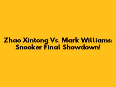 Zhao Xintong Vs. Mark Williams: Snooker Final Showdown!