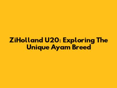 ZiHolland U20: Exploring The Unique Ayam Breed