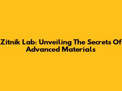 Zitnik Lab: Unveiling The Secrets Of Advanced Materials